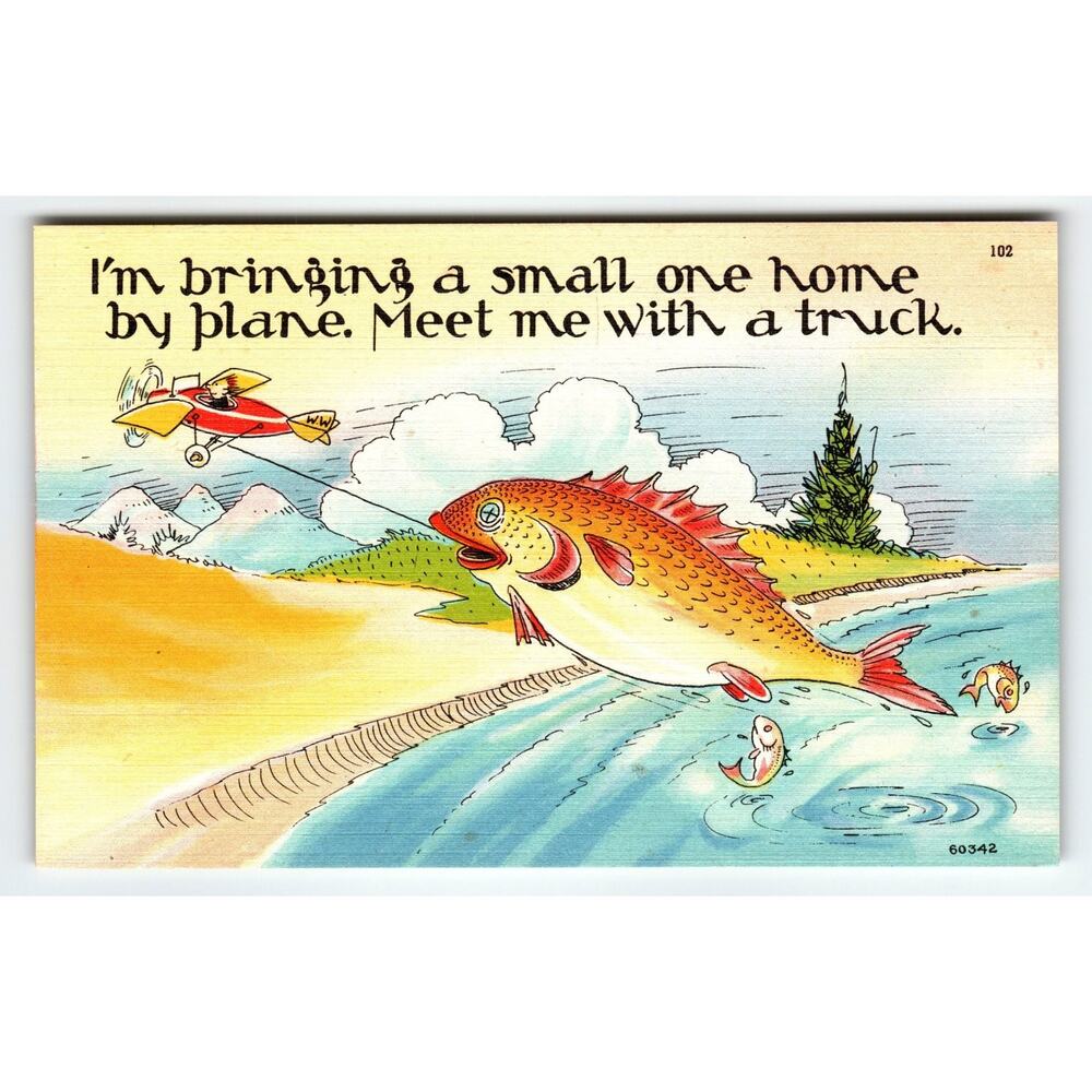 Vintage Linen Comic Postcard Fish Towed by Plane 1950s Asheville NC